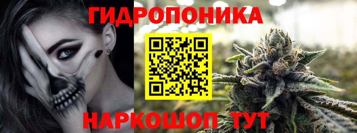 Каннабис AK-47  Каннабис OG Kush  Бошки Шишки Ganja  Вход с VPN  Нурлат  Канабис семена 